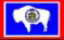 wyoflag1.jpg (7262 bytes)